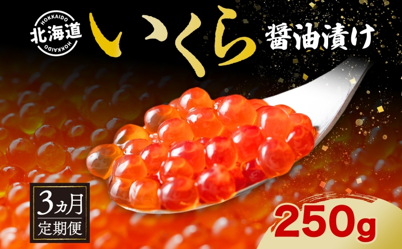 定期便 3ヵ月連続 全3回 北海道産 いくら醤油漬け 250g 北海道 イクラ醤油漬け 小分け いくら 国産 イクラ 海鮮 魚介 魚卵 海産物 醤油漬け 鮭いくら 寿司 刺身 贅沢 お取り寄せ グルメ ギフト プレゼント 化粧箱