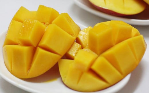 渡慶次マンゴー園の完熟マンゴー約2Kg【 先行予約 2026年発送 】