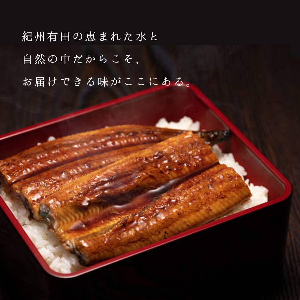 BC6006_うなぎ蒲焼 2本 角長特製蒲焼タレ 1本 セット 国産 安全 ふっくら うなぎ こだわり 蒲焼き 蒲焼 タレ うな丼 うな重 ひつまぶし う巻き うなむすび 土用 丑の日 水産加工品 魚介 海鮮 海産物 冷凍 和歌山県 湯浅町 お取り寄せ お取り寄せグルメ 送料無料