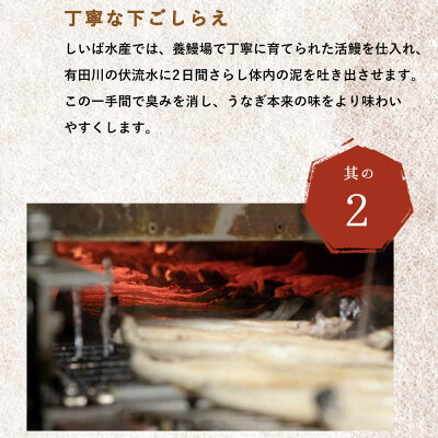 BC6006_うなぎ蒲焼 2本 角長特製蒲焼タレ 1本 セット 国産 安全 ふっくら うなぎ こだわり 蒲焼き 蒲焼 タレ うな丼 うな重 ひつまぶし う巻き うなむすび 土用 丑の日 水産加工品 魚介 海鮮 海産物 冷凍 和歌山県 湯浅町 お取り寄せ お取り寄せグルメ 送料無料