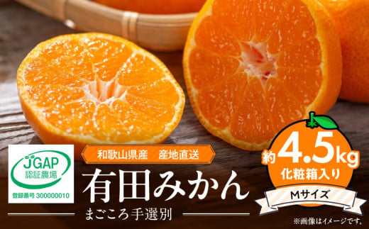 【和歌山県有田郡湯浅町】ZE6059n_和歌山県産 有田みかん 化粧箱 約4.5kg Mサイズ【まごころ手選別】