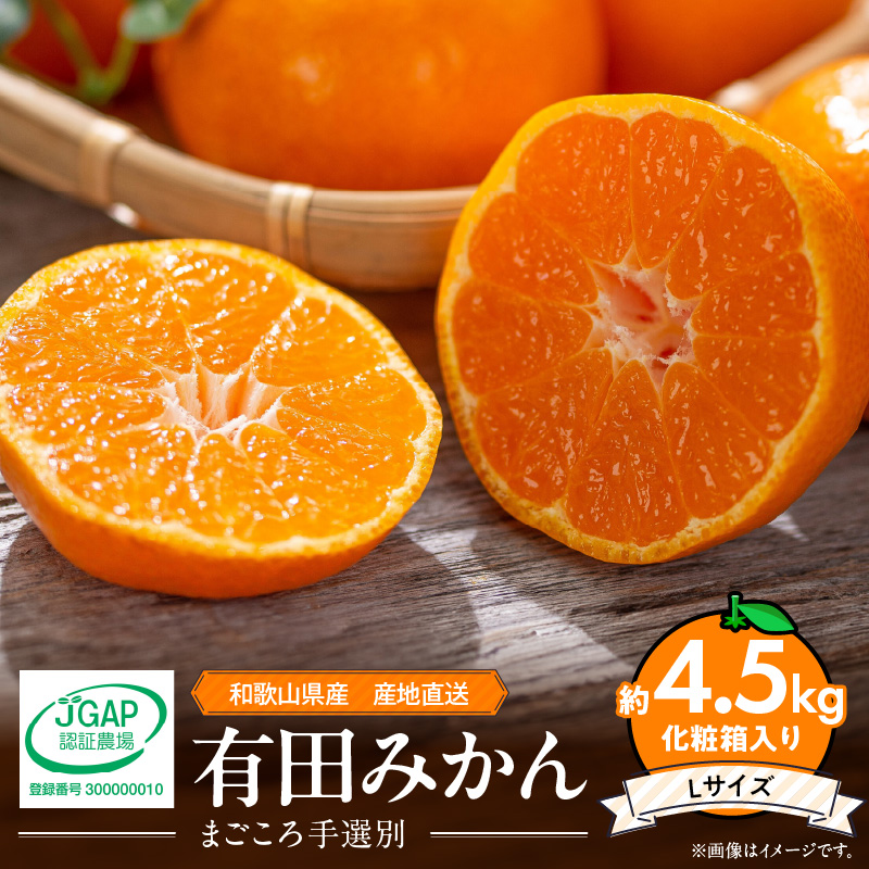 【和歌山県有田郡湯浅町】ZE6060n_和歌山県産 有田みかん 化粧箱 約4.5kg Lサイズ【まごころ手選別】