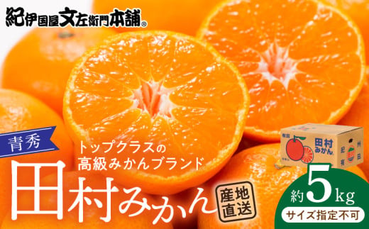 【和歌山県有田郡湯浅町】V7450_田村みかん/5kg青秀/サイズ指定なし