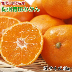 ZD7015_【2026年先行予約】【秀品】 和歌山 有田みかん 6kg（2Lサイズ）