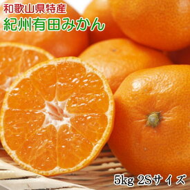 ZD7013_【2026年先行予約】【秀品】和歌山 有田みかん 5kg（2Sサイズ）