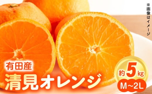 宝石みかん ZN6001n_【2026年先行予約】和歌山県有田産 完熟 清見オレンジ 5kg