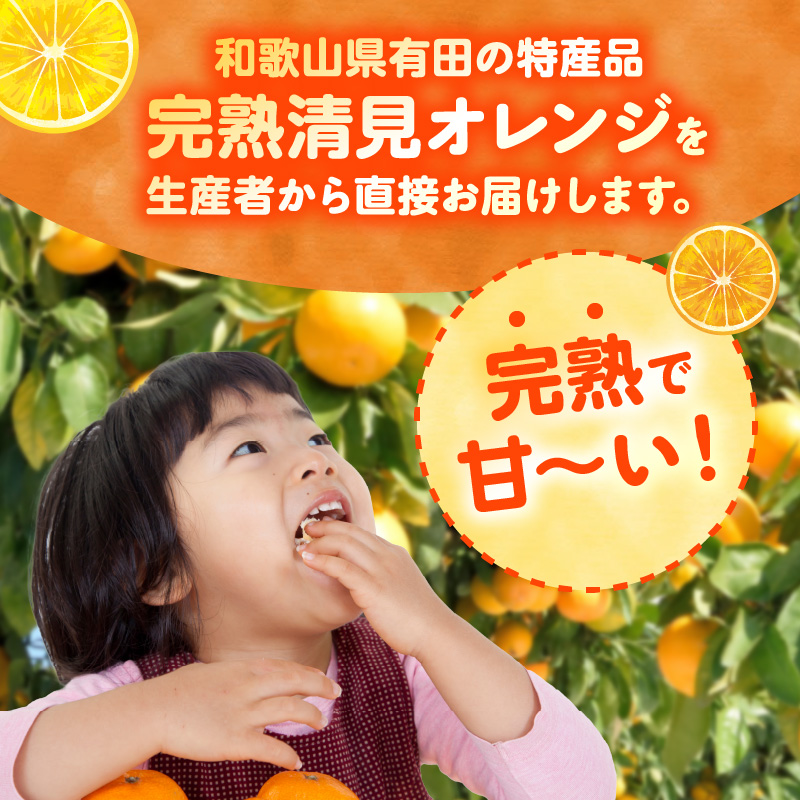 ZN6001n_【2026年先行予約】和歌山県有田産 完熟 清見オレンジ 5kg ひとつひとつ丁寧に厳選！生産者から直送【清見 みかん オレンジ タンゴール きよみ 柑橘 和歌山 有田】
