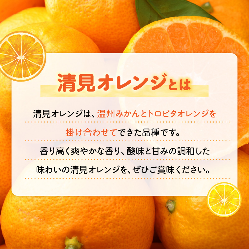 ZN6001n_【2026年先行予約】和歌山県有田産 完熟 清見オレンジ 5kg ひとつひとつ丁寧に厳選！生産者から直送【清見 みかん オレンジ タンゴール きよみ 柑橘 和歌山 有田】