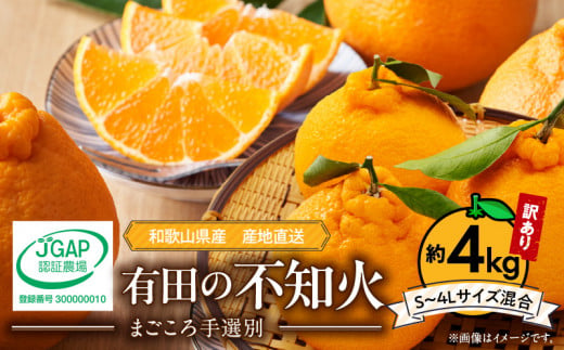 ZE6161n_【2026年先行予約】有田の不知火(しらぬひ) 【訳あり　家庭用】約4kg（S～4Lサイズ混合）まごころ手選別