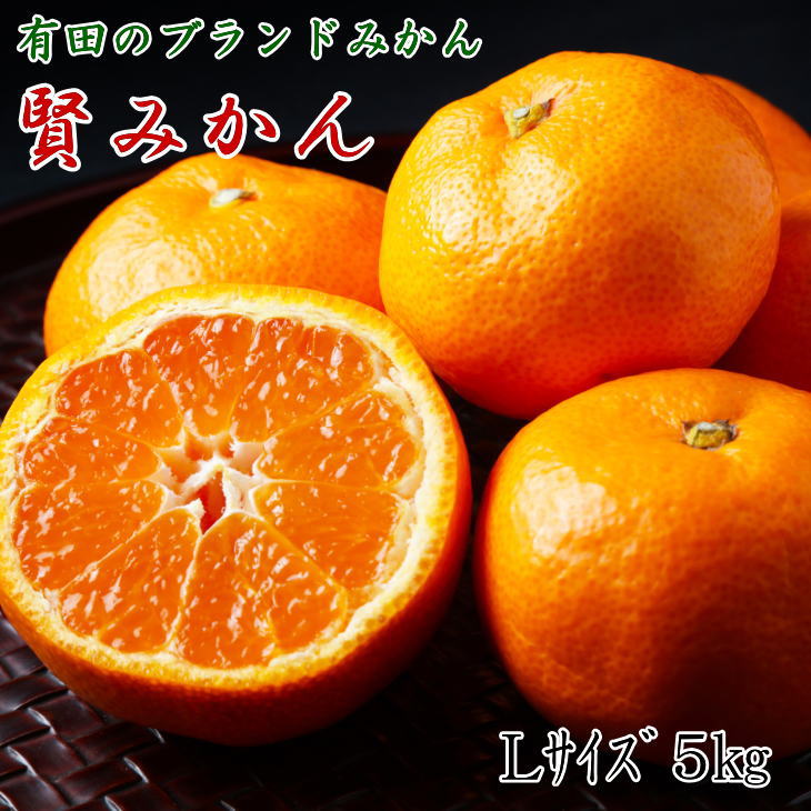 ZD6161n_【秀品】有田ブランド 賢みかん 5kg（Lサイズ）［2024年11月