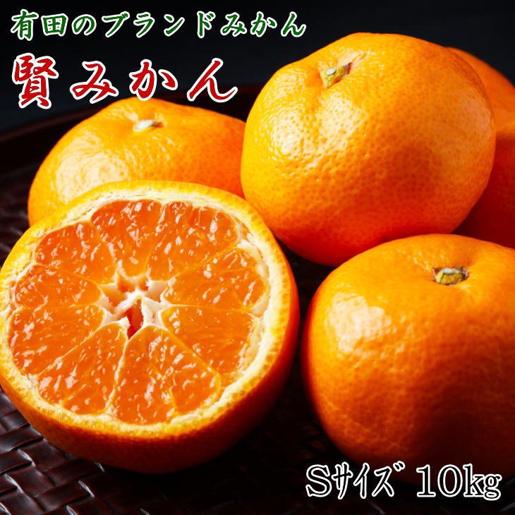 ZD6162_【秀品】 有田ブランド 賢みかん 10kg（Sサイズ） 【ミカン