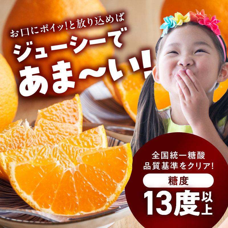 BD6004n_【2026年先行予約】デコポン 秀品 約 5kg 18 ～ 24玉 不知火 甘味 濃厚 ジューシー 甘い 果汁 大きい果肉 薄皮 高品質 糖度 13度以上 柑橘 フルーツ 果物 食品 国産 有田産 和歌山県 湯浅町 マルナガ お取り寄せ 送料無料