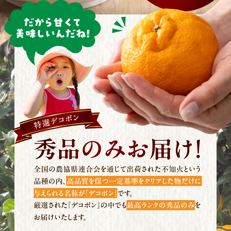 BD6004n_【2026年先行予約】デコポン 秀品 約 5kg 18 ～ 24玉 不知火 甘味 濃厚 ジューシー 甘い 果汁 大きい果肉 薄皮 高品質 糖度 13度以上 柑橘 フルーツ 果物 食品 国産 有田産 和歌山県 湯浅町 マルナガ お取り寄せ 送料無料
