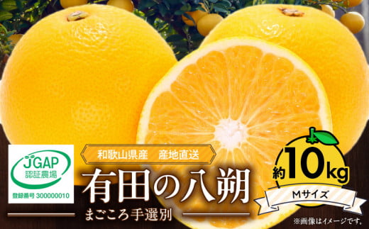 ZE6074n_【2026年先行予約】有田の八朔 (はっさく) 10kg （Mサイズ）まごころ手選別