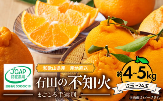 ya̎RLcS󒬁zZE6098n_y2026Ns\zLc̕sm(ʂ) 4kg`5kg@12`24ʁiM`SLTCYj܂I