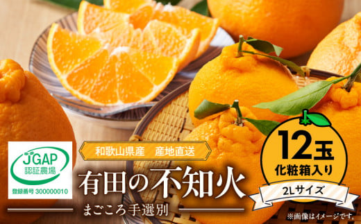 【和歌山県有田郡湯浅町】ZE6102n_【2026年先行予約】有田の不知火(しらぬひ) 【化粧箱】 12玉(2Lサイズ)まごころ手選別