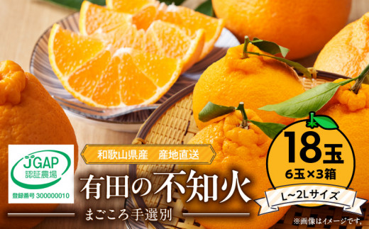 ya̎RLcS󒬁zZE6112n_y2026Ns\zLc̕sm(ʂ)@6× 3iL`2LTCYj܂I