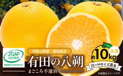 【和歌山県有田郡湯浅町】ZE6154n_【2026年先行予約】有田の八朔 (はっさく) 10kg  (2S〜Mサイズ混合)まごころ手選別