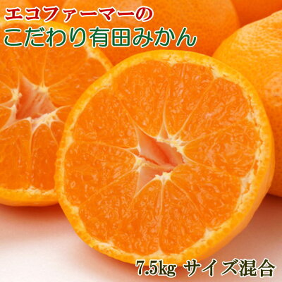 【和歌山県有田郡湯浅町】ZD92068_エコファーマーのこだわり 有田みかん 7.5kg (サイズ混合・秀・優品)