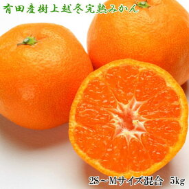 ZD6196n_【2026年先行予約】【濃厚・まろやか】 樹上越冬 完熟 みかん 5kg (2S～Mサイズ混合・秀品)【ミカン 蜜柑 柑橘 温州みかん 有田みかん】