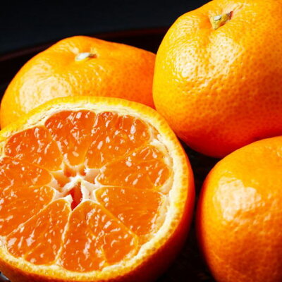 ZD6218n_【高糖系】【2026年先行予約】 貯蔵越冬 丹生系 みかん 5kg (S～Lサイズおまかせ) 【ミカン 蜜柑 柑橘 温州みかん 丹生温州】