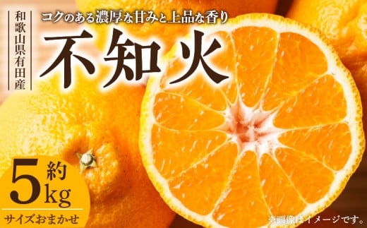V7412_デコ 不知火 約5kg 和歌山県有田産 春みかん (果実サイズおまかせ) 春みかん 紀伊国屋文左衛門本舗