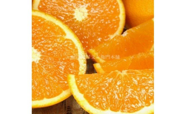 �y�a�̎R���L�c�S���󒬁zV7307_�����I�����W ��6kg ���󒬓c���Y �t�݂��� �i�ʎ��T�C�Y���܂����j/ �I�ɍ��������q��{��