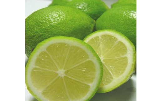 AB6066n_【国産】紀州和歌山産 有田レモン 1kg (サイズ混合)【国産 レモン 柑橘 フルーツ 和歌山】