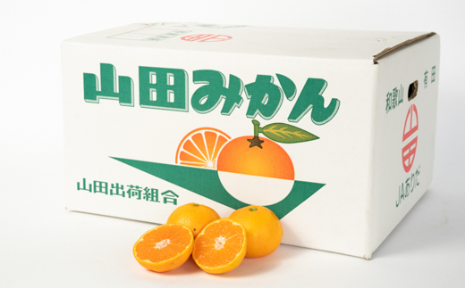 和歌山有田産不知火 秀品 Mサイズ10kg 和歌山県 有田みかん 南広（なんぴろ）みかん 秀品 S〜Mサイズ