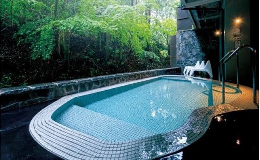 AP6008n_二ノ丸温泉 入浴券5枚【チケット 券 温泉 旅館 トラベル お風呂】