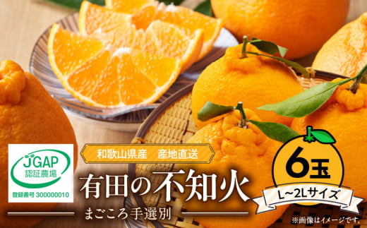 ZE6110n_【2026年先行予約】有田の不知火(しらぬひ)　6玉 （L～2Lサイズ）まごころ手選別