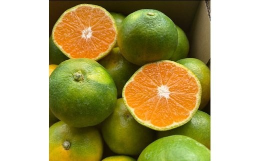 ZE6304_【まごころ手選別】和歌山県産 有田みかん(極早生) 5kg 【家庭