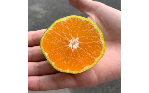 ZE6304_【まごころ手選別】和歌山県産 有田みかん(極早生) 5kg 【家庭