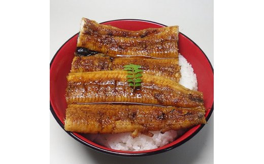 V6206_炭焼きうなぎ蒲焼　大サイズ2尾セット（約150～199g×2尾）タレ・粉山椒付き　国産鰻　冷凍ウナギ　1尾ずつ真空パック　土用の丑の日　紀伊国屋文左衛門本舗