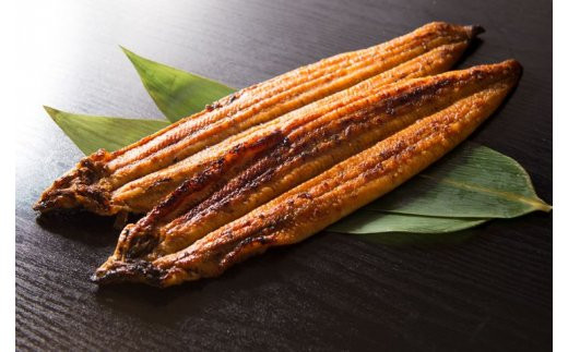 V6206_炭焼きうなぎ蒲焼　大サイズ2尾セット（約150～199g×2尾）タレ・粉山椒付き　国産鰻　冷凍ウナギ　1尾ずつ真空パック　土用の丑の日　紀伊国屋文左衛門本舗