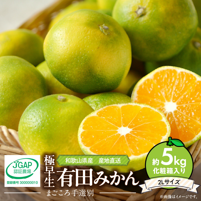 和歌山産不知火3.5〜 4Kg2箱 楽天市場】【ふるさと納税】【2026年先行予約】和歌山県産 AQ
