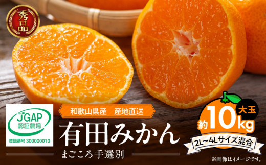 ZE6333n_和歌山有田みかん10kg　2L～4Lサイズ混合 