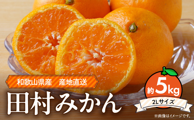 ZE6345n_和歌山 湯浅町産 田村みかん 5kg【2L】