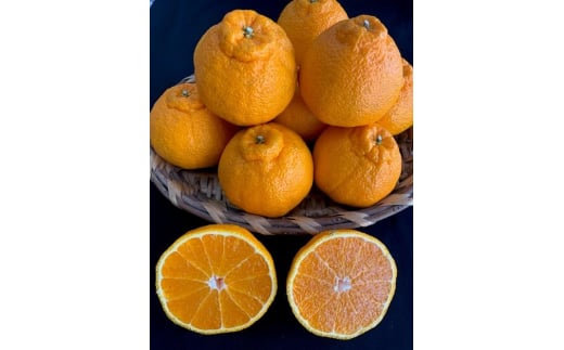 BF6065_（2026年先行受付）しらぬい（デコポン）24～28玉入り ※着日指定不可