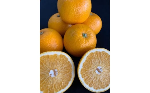 BF6068_（2026年先行受付）はっさく 赤秀品2L、3Lサイズ 5kg