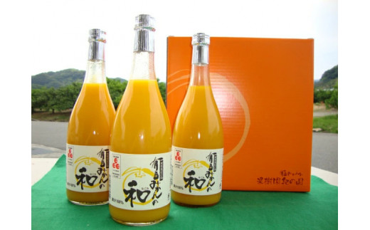 ya̎RLcS󒬁zZY6115n_ʎI̍ Lc݂̘a@VQO×R{