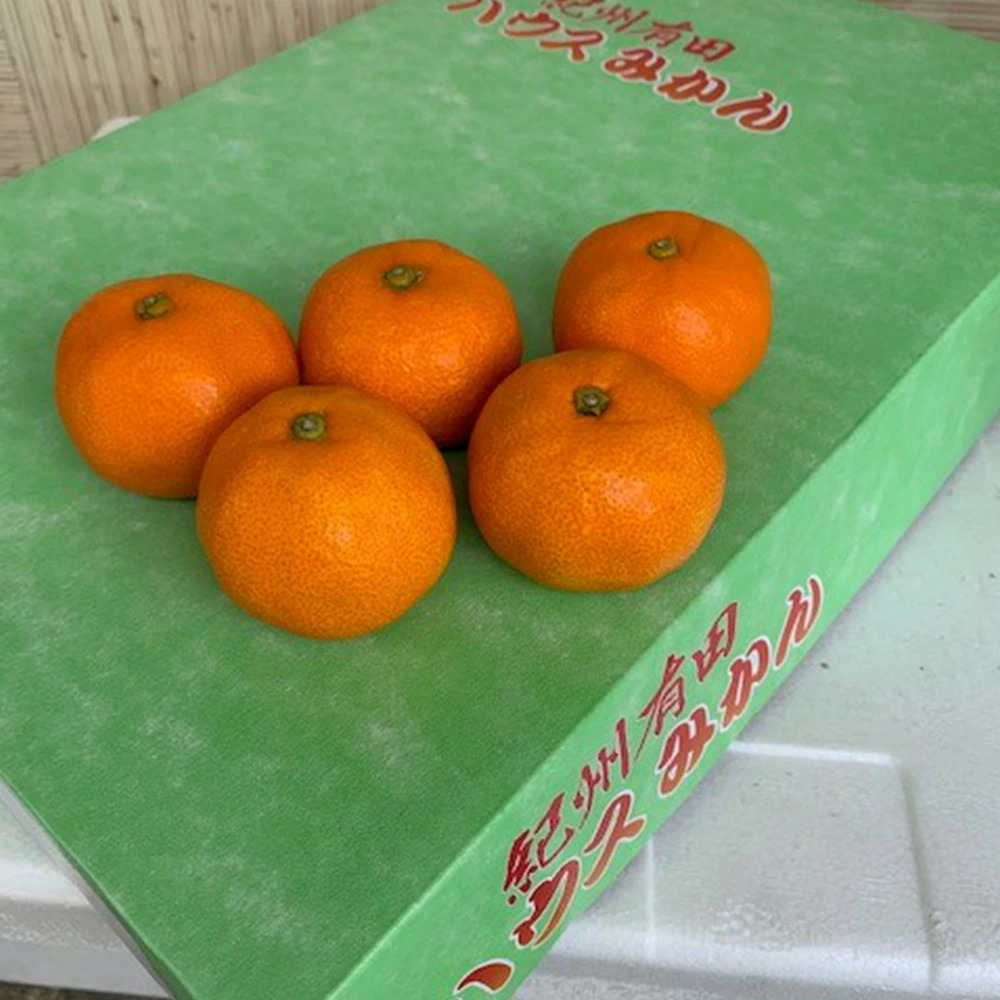 BF6032n_【2026年先行予約】ハウスみかん 化粧箱 約2.5kg 【ミカン