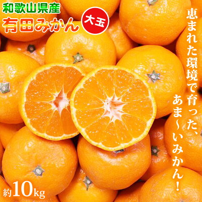【和歌山県有田郡湯浅町】ZN6004n_ (大玉) 和歌山県産 有田みかん 10kg ひとつひとつ手選別で厳選!生産者から直送