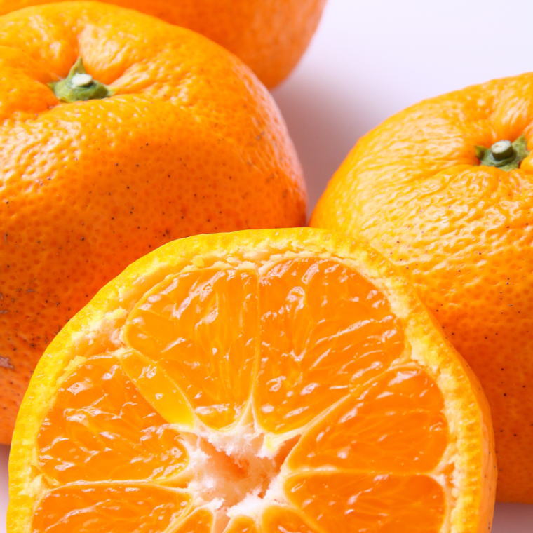 ZD7020_【2026年先行予約】【訳あり】 和歌山 有田みかん 10kg (S～Lサイズいずれかお届け)