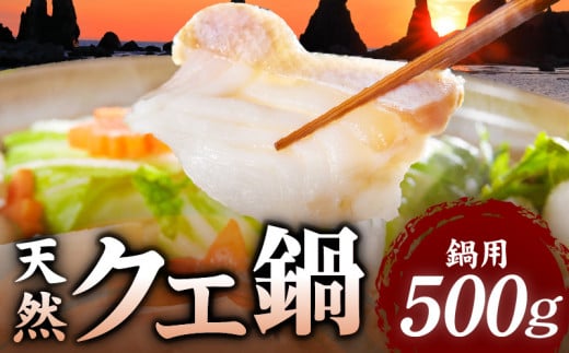 R1002_天然 クエ鍋 500g くえ鍋セット 幻の魚 魚 くえ鍋専門店 鍋用 上品 安定の品質 和歌山 湯浅町 