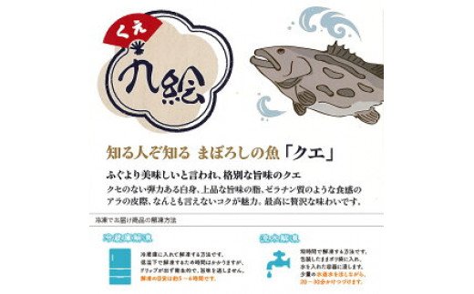 R1002_天然 クエ鍋 500g くえ鍋セット 幻の魚 魚 くえ鍋専門店 鍋用 上品 安定の品質 和歌山 湯浅町 
