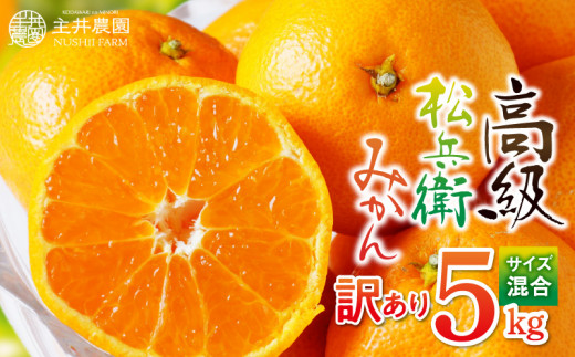 ZS6121n_主井農園 松兵衛みかん 5kg (サイズ混合) 【訳あり 家庭用】
