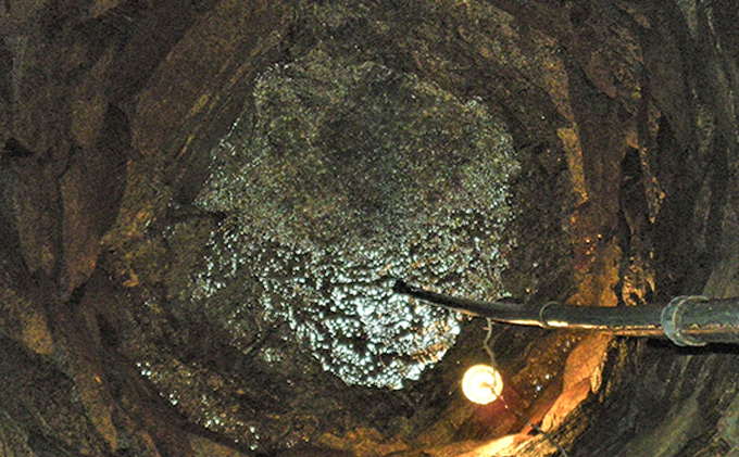 櫻芳烈 純米「櫻」と生原酒「有漢」（720ml×2本） お酒 日本酒 純米酒 アルコール 