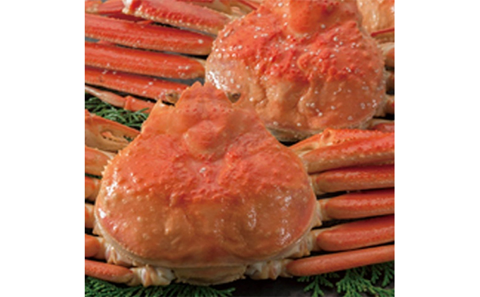 茹で ズワイガニ 約3kg (3～8杯) セット 詰め合わせ 脚折れ含む カニ 蟹 かに 茹でカニ ずわい蟹 ずわいがに カニセット 魚介 魚介類 海鮮 海鮮セット 福井 福井県 若狭町