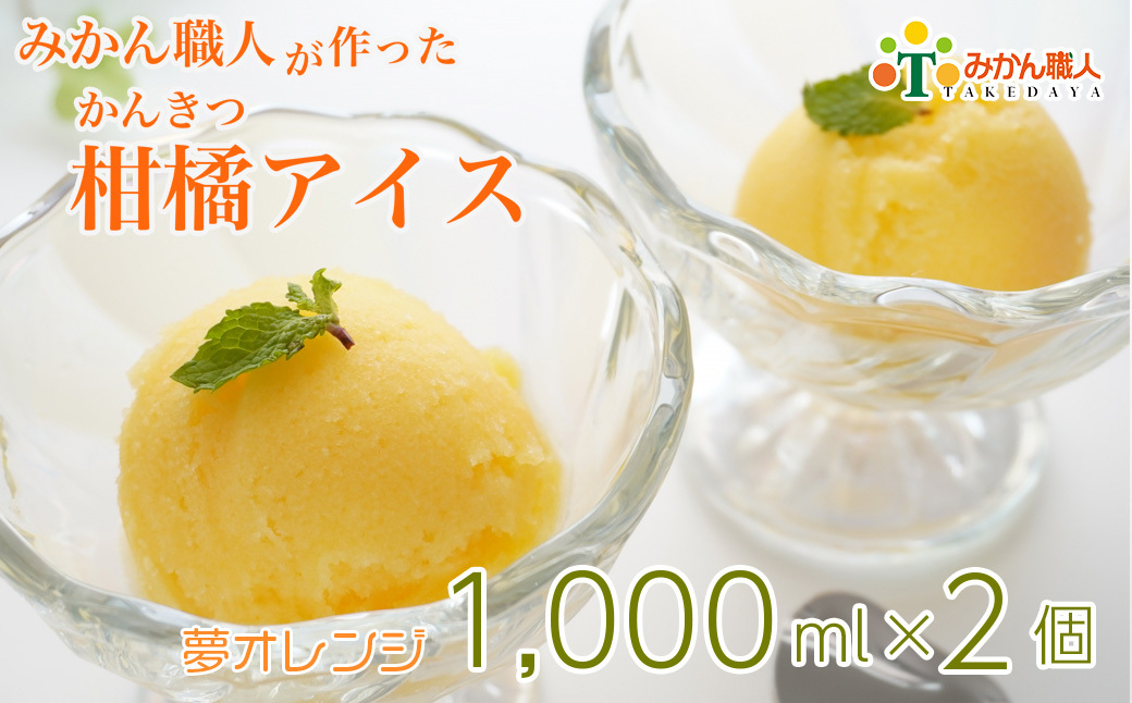 【愛媛県愛南町】みかん職人が作った柑橘アイス1000ml×2(夢オレンジ×2)